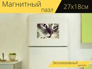 Магнитный пазл "Кошка, кошачий, котенок" на холодильник 27 x 18 см.