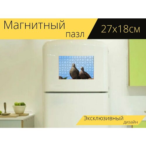 Магнитный пазл Птицы, голуби, голубь на холодильник 27 x 18 см. магнитный пазл голуби птицы группа на холодильник 27 x 18 см