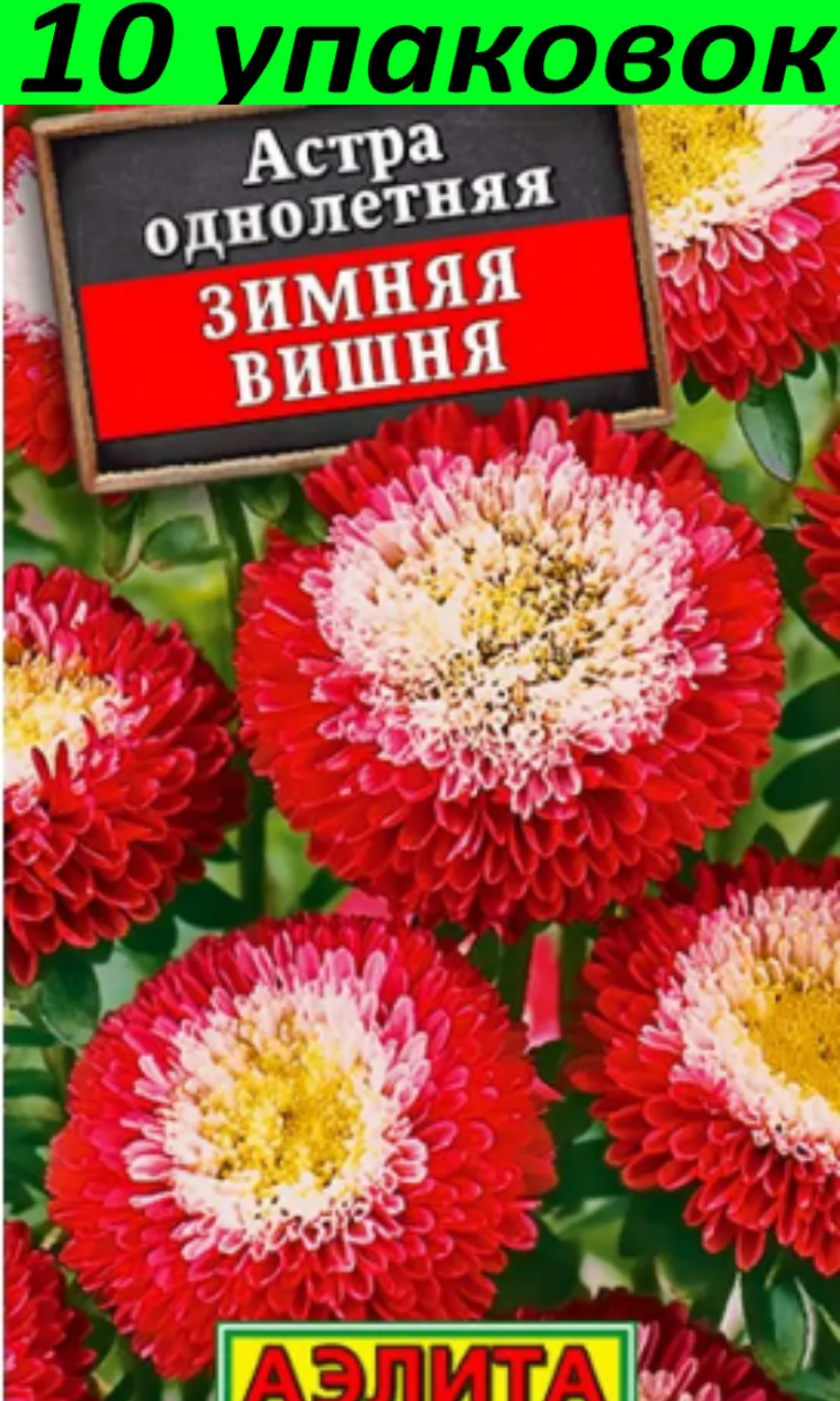 Семена Астра Зимняя вишня помпонная 10уп по 0.2г (Аэлита)