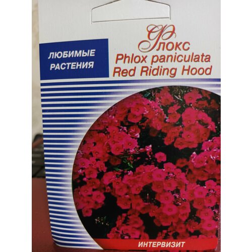 Флокс Phlox paniculata Red Riding Hood семена