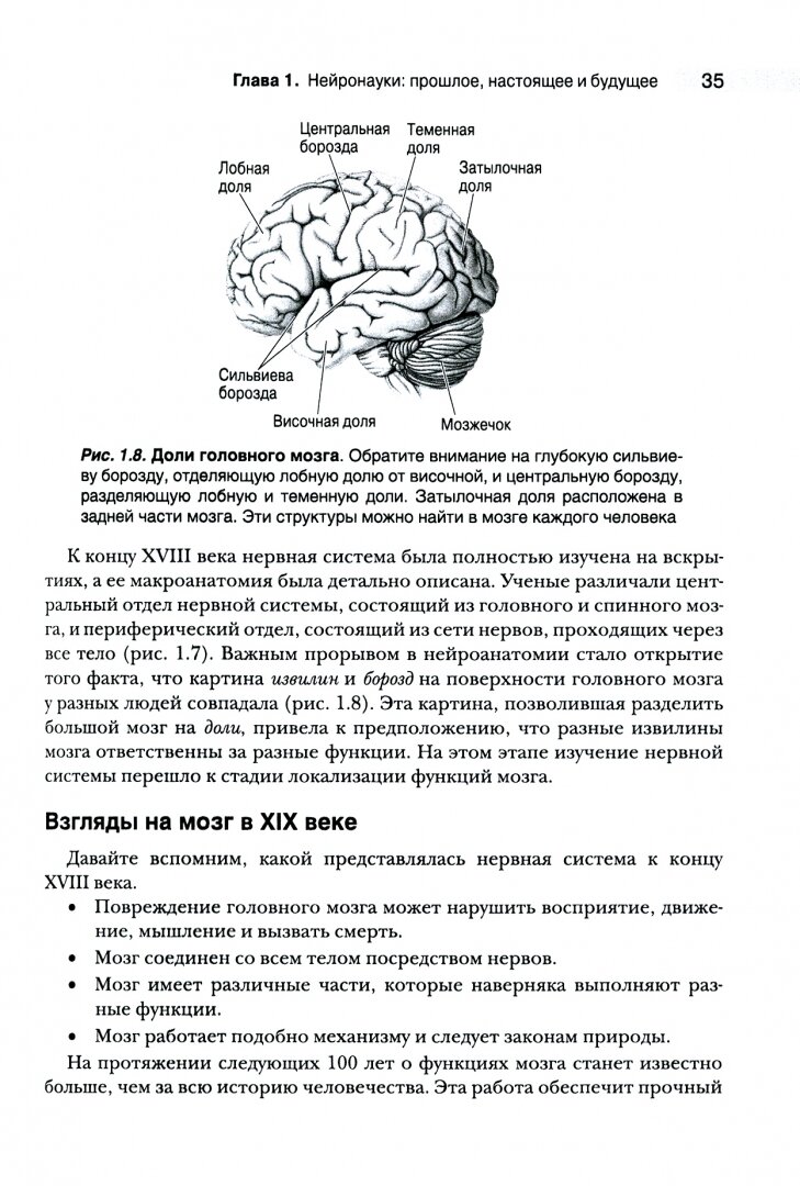 Нейронауки. Исследование мозга. В 3-х томах. Том 1. Основы - фото №3