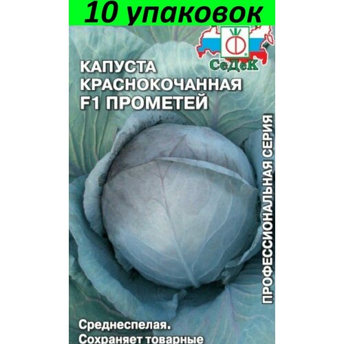 Семена Капуста краснокочанная Прометей F1 10уп по 0,05г (Седек) семена капуста краснокочанная ред династи f1 10уп по 15шт агрос