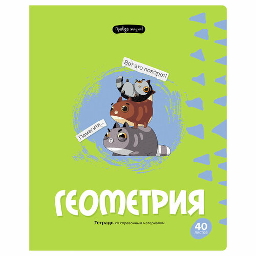 Комплект 10 шт, Тетрадь предметная 40л. BG Правда жизни - Геометрия