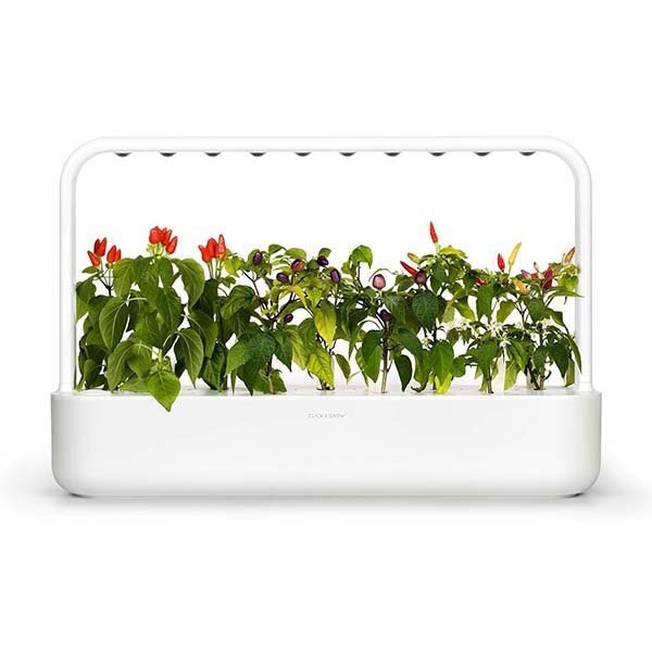 фото Click And Grow Умный сад Click And Grow Smart Garden 9 помидоры черри, базилик, зеленый салат (белый)