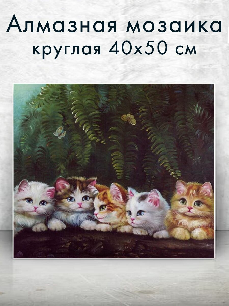 Алмазная мозаика (круг) "Милые котики" 40х50 см