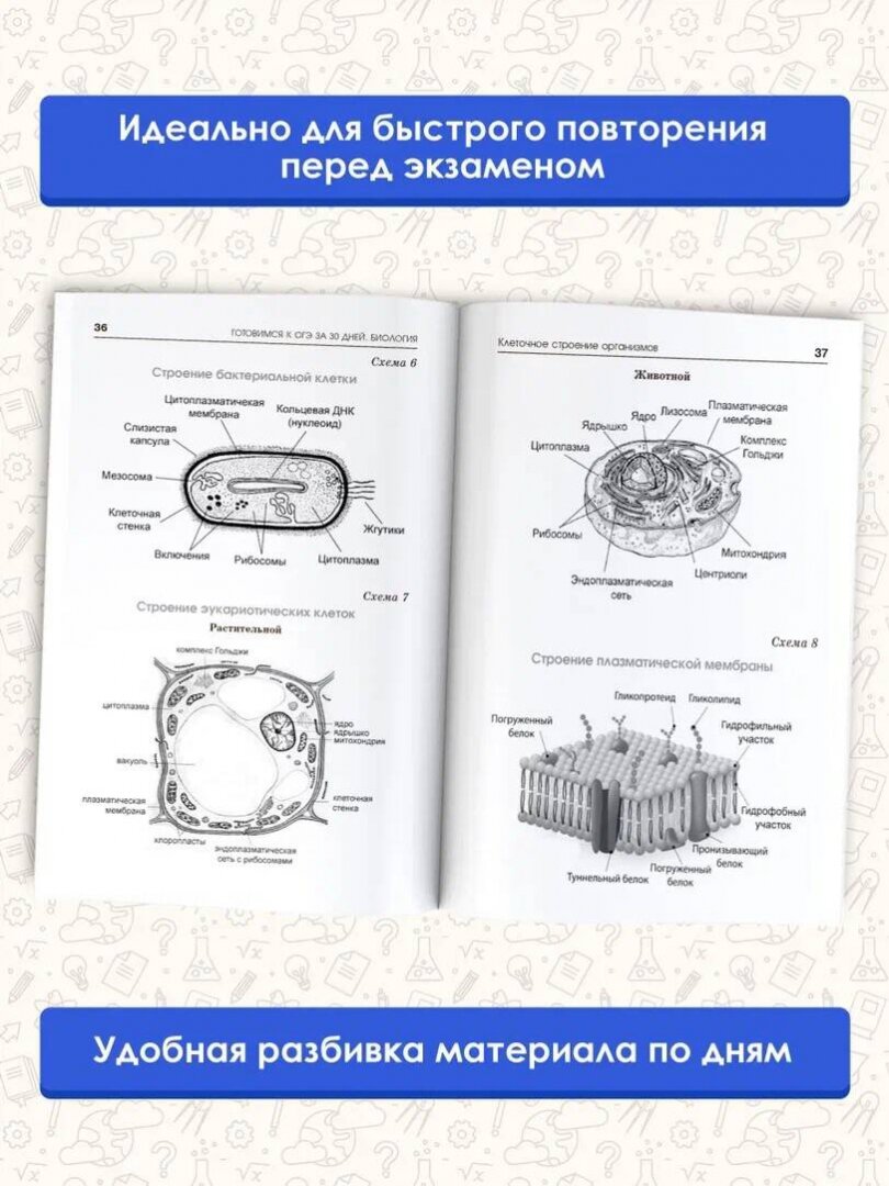 Готовимся к ОГЭ за 30 дней.Биология - фото №2