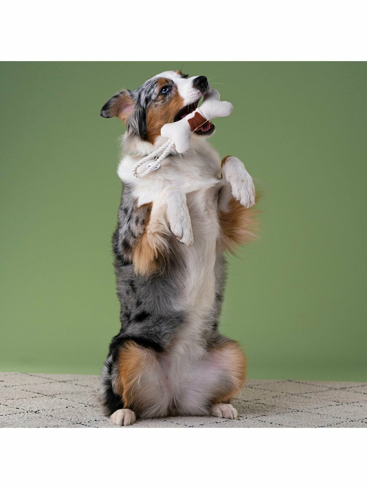 Mr.Kranch игрушка для собак косточка с канатом (31 х 9 х 4 см., Бежевый) - фото №3