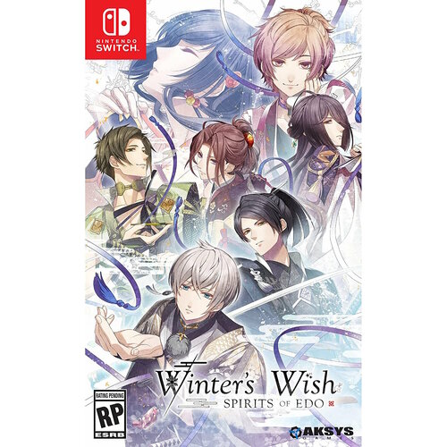 Winter's Wish: Spirits of Edo (Switch) английский язык