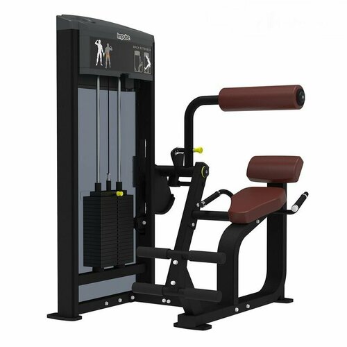 Разгибание спины AeroFit IF9332