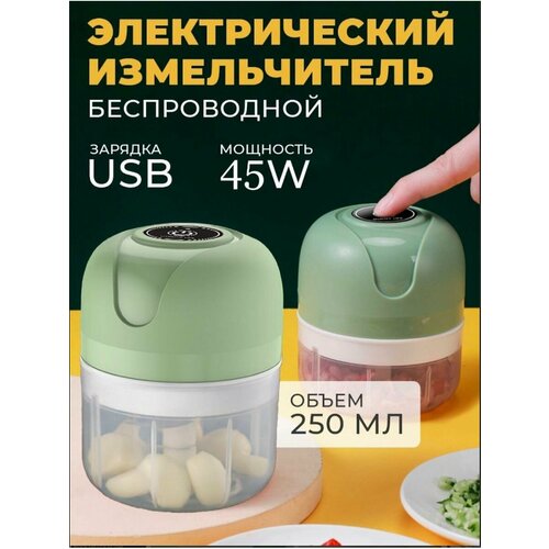 Измельчитель кухонный электрический 250 мл с USB 100500₽