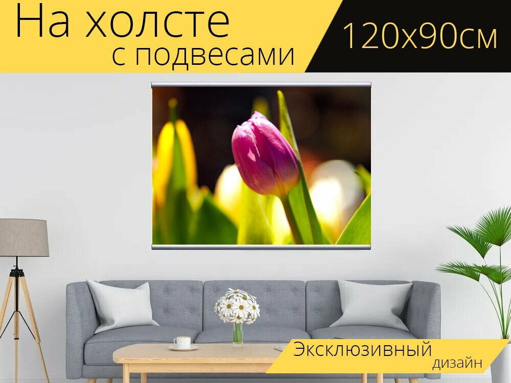 Картина на холсте "Тюльпан, цветок, цвести" с подвесами 120х90 см. для интерьера
