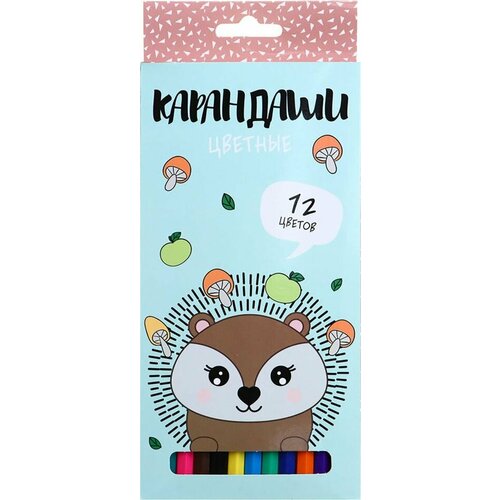 Карандаши цветные Flomik Ёжик 12 цветов х2шт