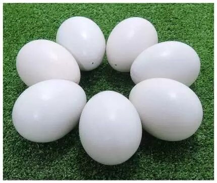 Pigeon's egg (Яйцо пластиковаое голубиное) - фотография № 3