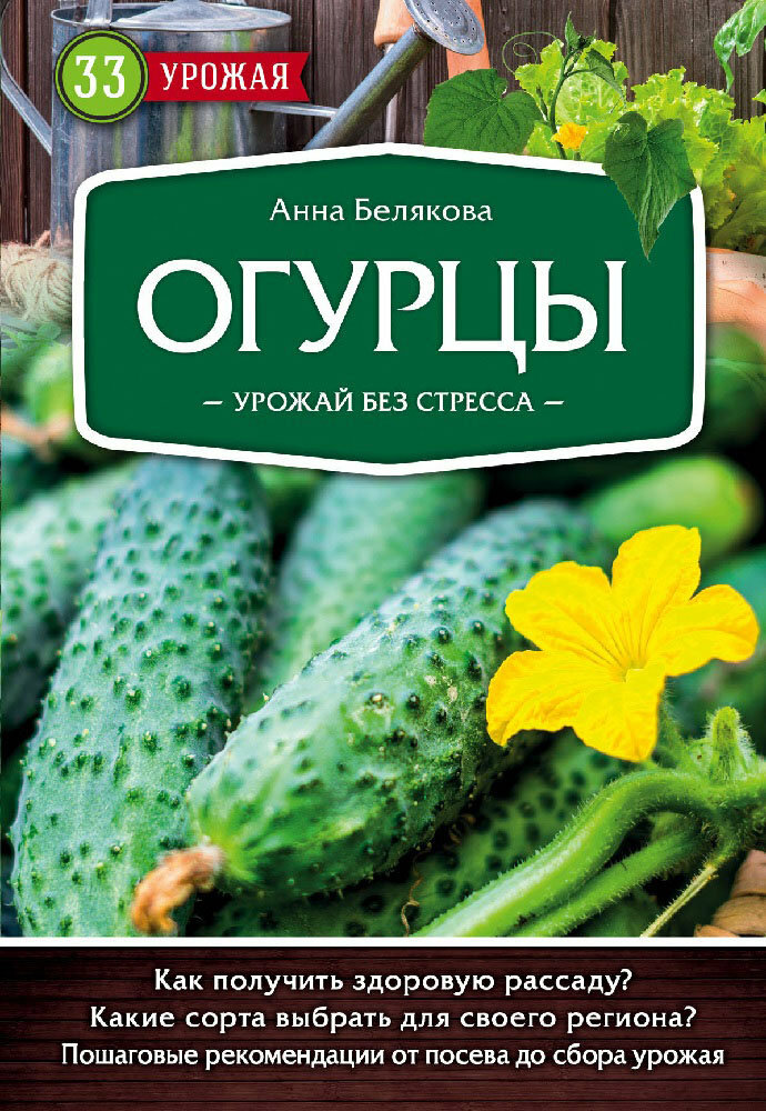 Огурцы Богатый урожай без ошибок - фото №2