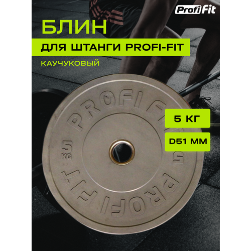 фото Диск для штанги каучуковый, цветной, profi-fit d-51 (5 кг, серый)