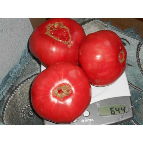 Коллекционные семена томата Ливанские Горы