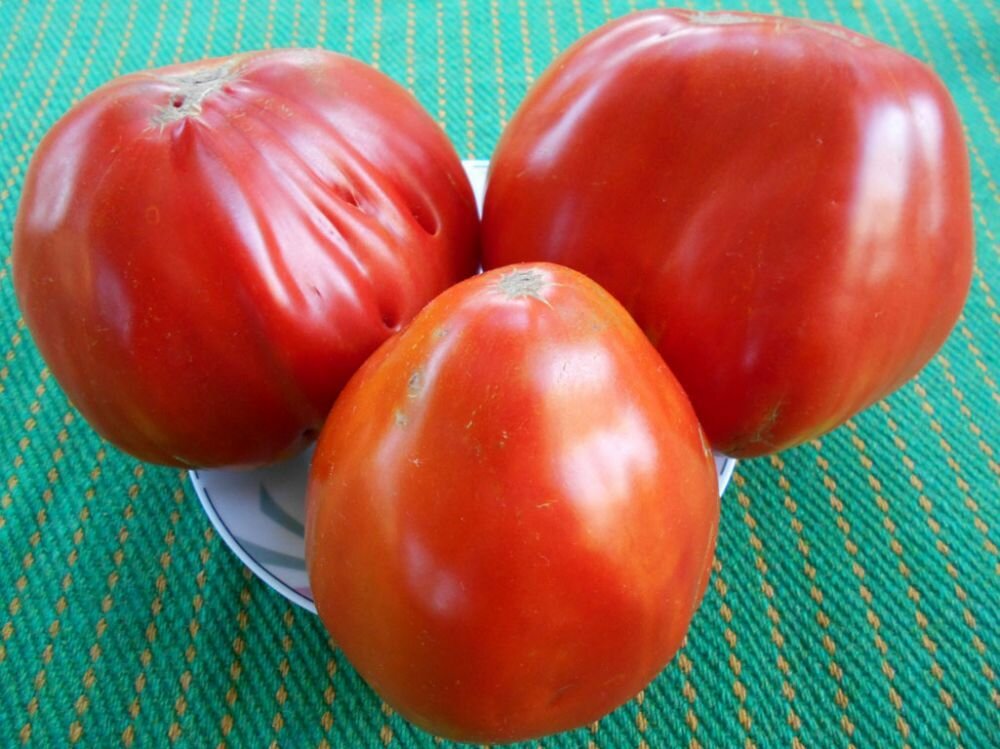 Коллекционные семена томата Бычье сердце Немецкое
