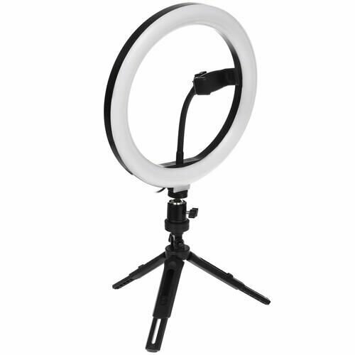 Кольцевая лампа FinePower RL-2 315000₽