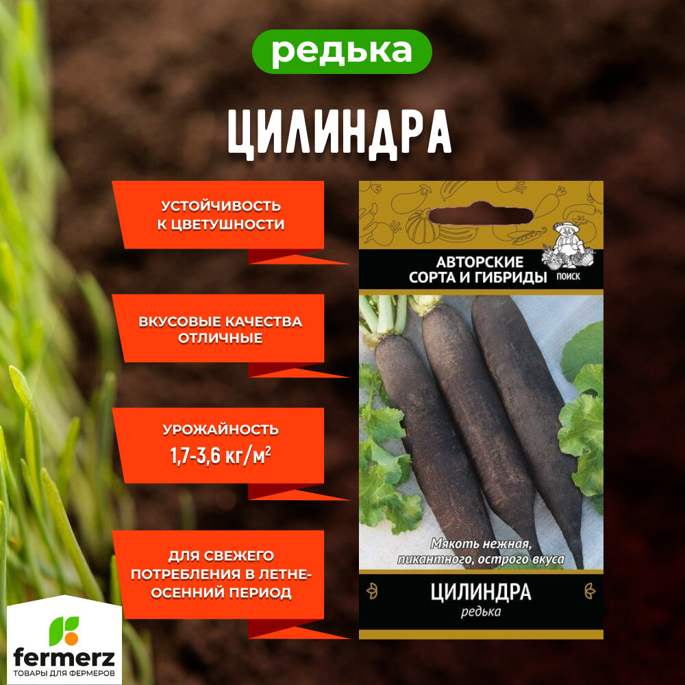 Семена Редька Цилиндра 2гр