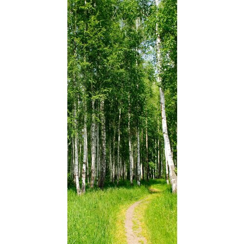 Самоклеящиеся фотообои 