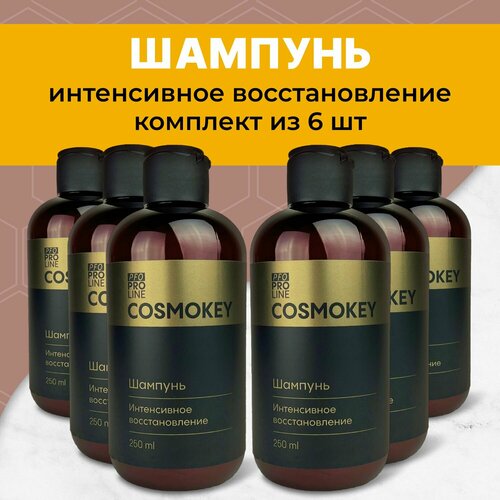 Cosmokey / Космокей Шампунь 
