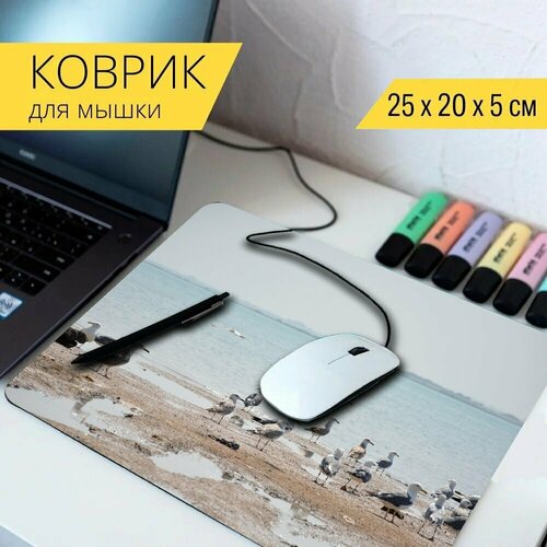 Коврик для мыши с принтом Чайки, морской берег, море 25x20см. коврик для мыши с принтом чайки морской берег птицы 25x20см