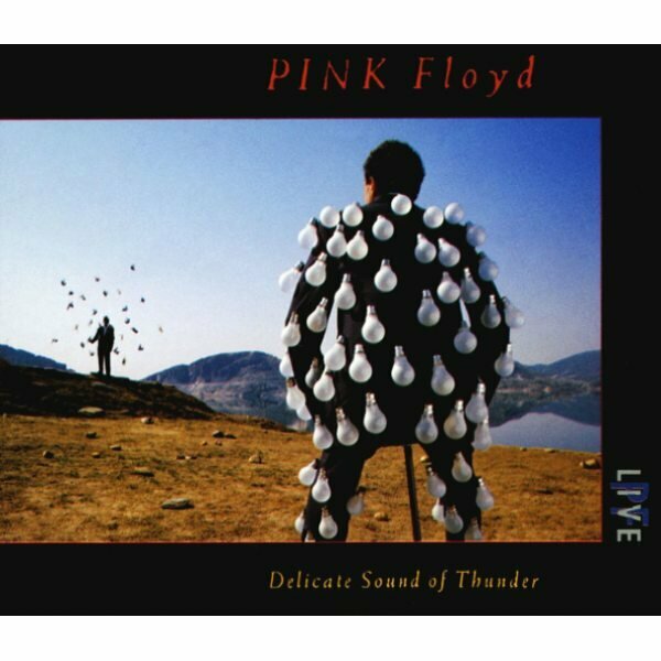 Компакт-диски, Parlophone, PINK FLOYD - Delicate Sound Of Thunder (2CD) Медиа - фото №2