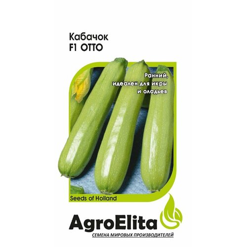 Семена Кабачок Отто F1, 5шт, AgroElita, Enza Zaden семена кабачок марселла f1 5шт agroelita enza zaden 3 упаковки