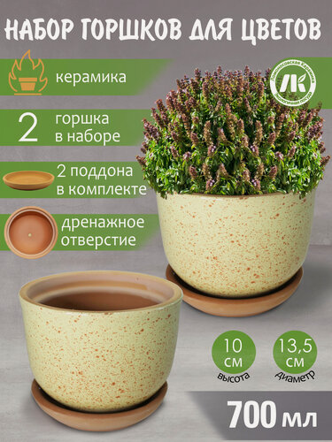 Изображение товара Горшок для цветов с поддоном "Ломоносовский" (желтый) d13,5см, h10см, 0,7л, набор 2шт, керамика