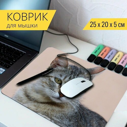 Коврик для мыши с принтом Кот, девушки, кошачий 25x20см.