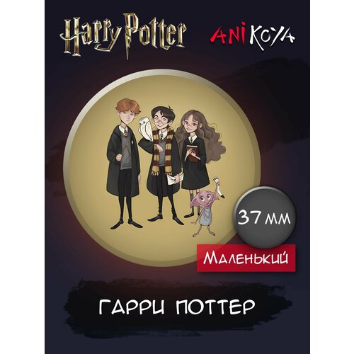 значки гарри поттер закатные 4 шт Значок AniKoya