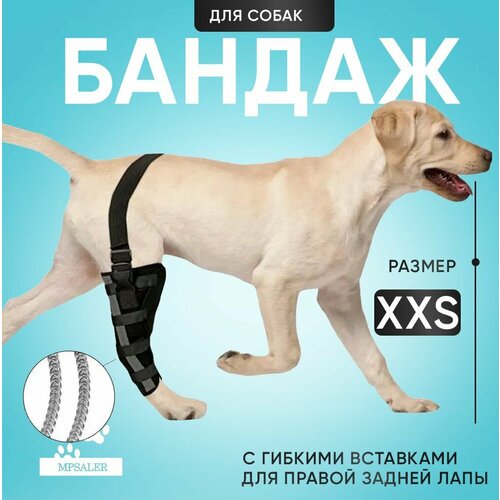 Бандаж для собак на правую заднюю лапу. На коленный сустав, с гибкими вставками, размер XXS.