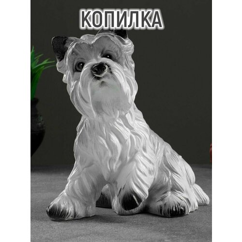 Копилка 