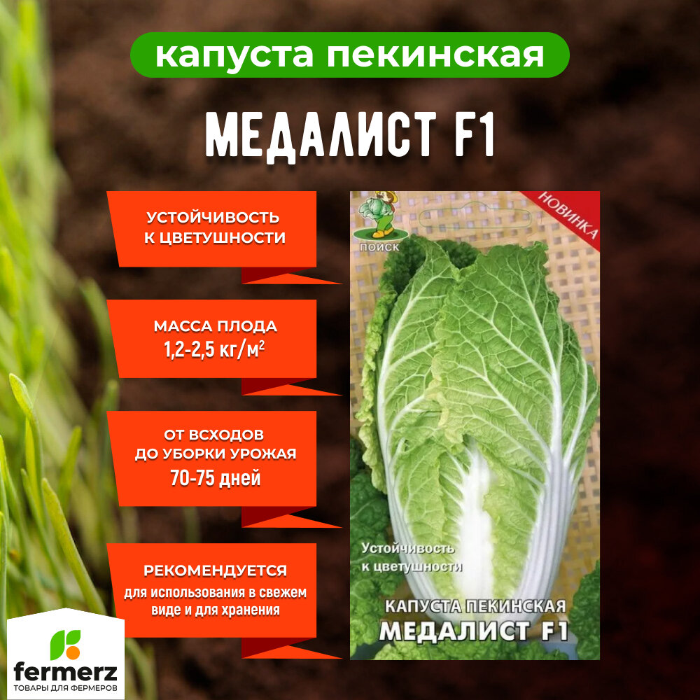 Семена Капуста пекинская Медалист F1 01гр.