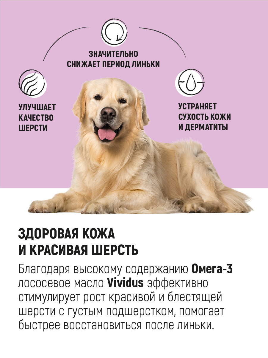 Salmon Oil 3л VIVIDUS - фото №5