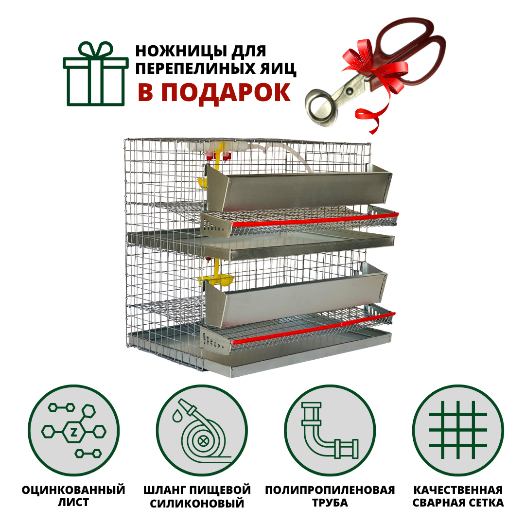 Клетка для перепелов на 30 голов, 2 яруса, Сельский дворик - фотография № 3