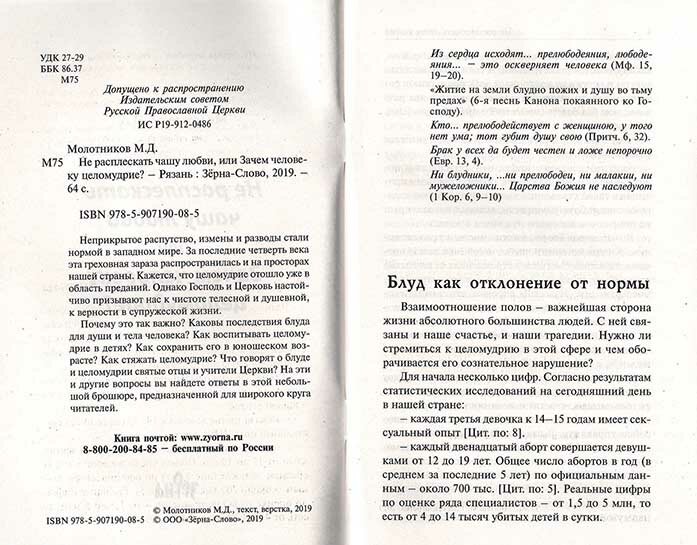 Не расплескать чашу любви, или Зачем человеку целомудрие? - фото №6