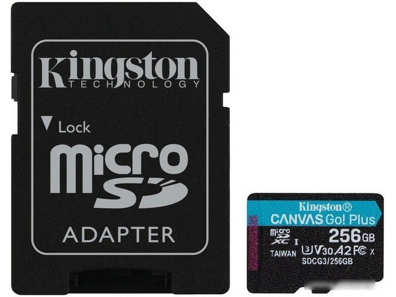 Карта памяти Kingston Canvas Go Plus microSDXC 256GB (SDCG3/256GB)
