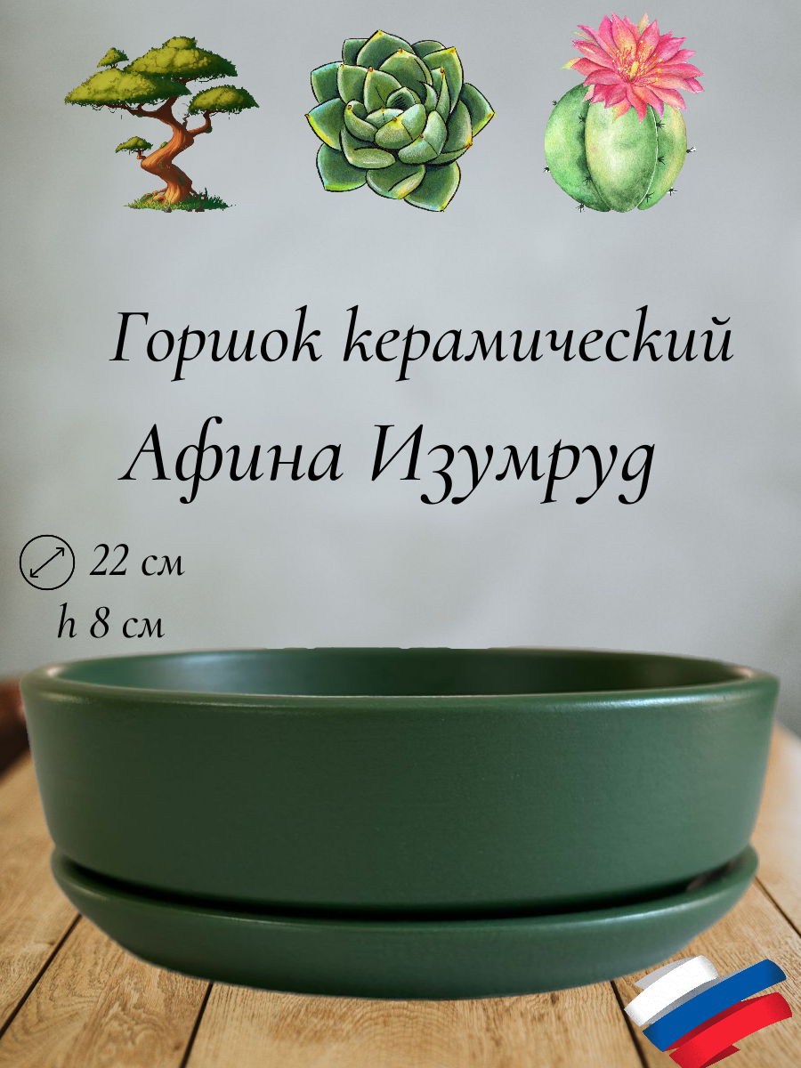 Керамический горшок "Афина Изумруд" для бонсай, кактусов и суккулентов, диаметр 22 см, высота 8 см