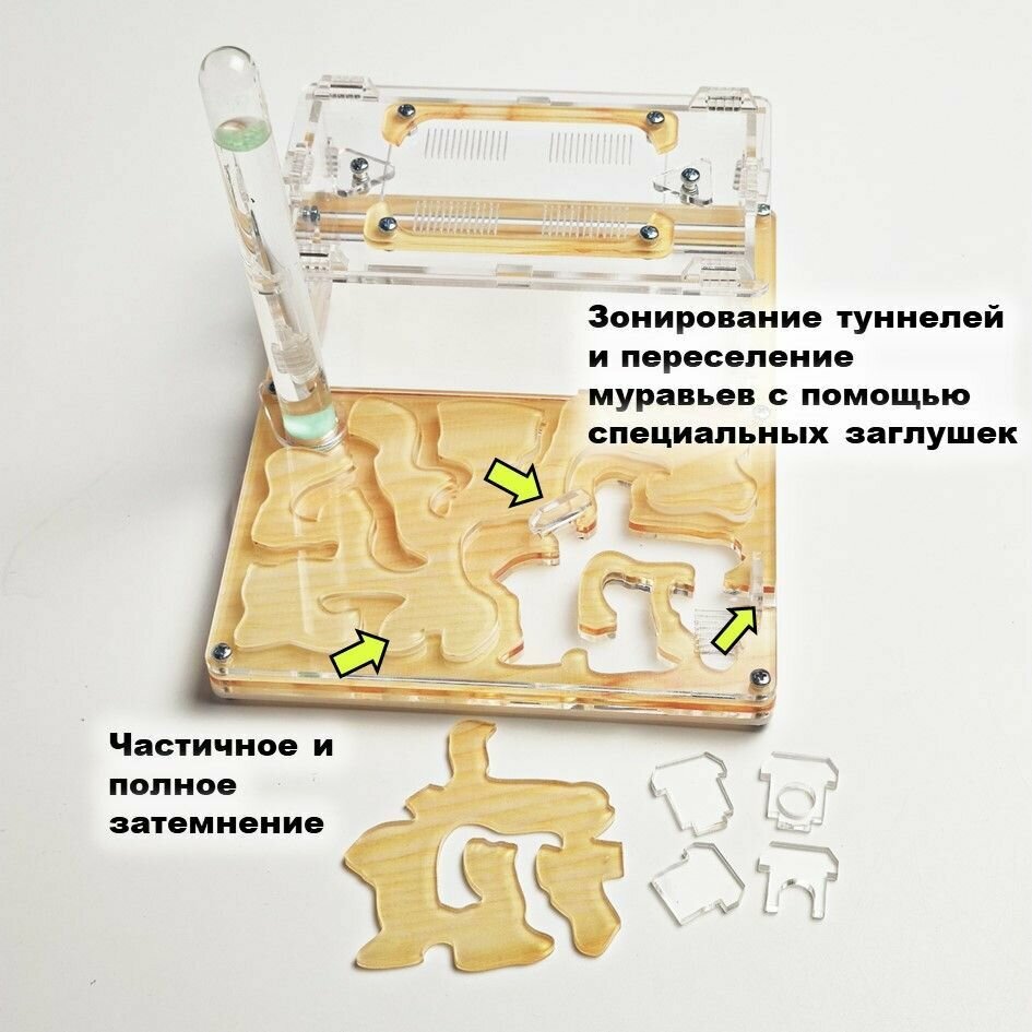 Средняя муравьиная ферма "Древесная" 20x16 basic - фотография № 2