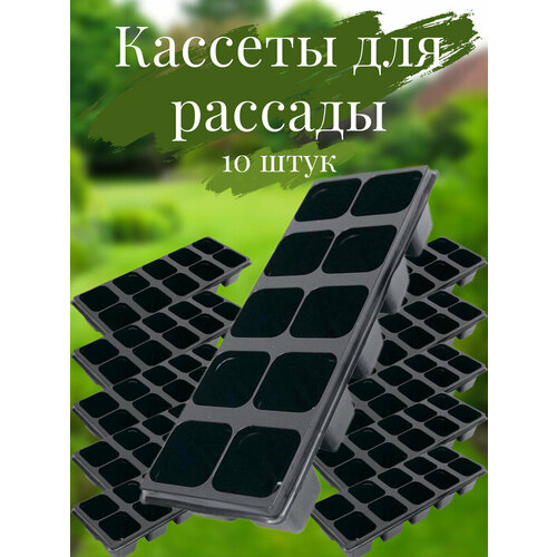 Кассеты для рассады, 10 ячеек, 10 шт, 320х150х60, пластик, черный