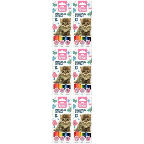 Schoolformat Набор цветных карандашей Пушистые котята, шестигранные, 12 цветов, 6 уп schoolformat набор цветных карандашей пушистые котята 12 цветов 2 шт
