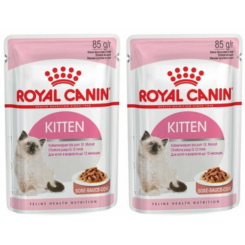 влажный корм стаут в соусе для котят от 4 до 12 месяцев Royal Canin Корм влажный для котят в возрасте до 12 месяцев Kitten, мелкие кусочки в соусе, 85 г, 2 шт