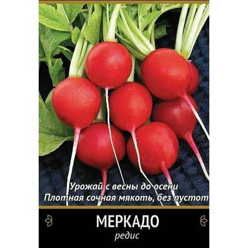 Коллекционные семена редиса Меркадо