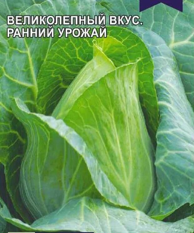 Капуста Сердце Буйвола