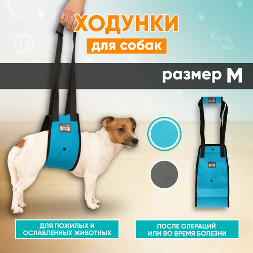 Задняя поддержка для собак Mr Dog голубая, M задняя поддержка для собак mr dog голубая xl