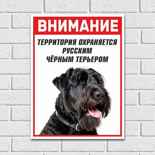 Табличка "Охраняется русским черным терьером", 25х33 см, ПВХ
