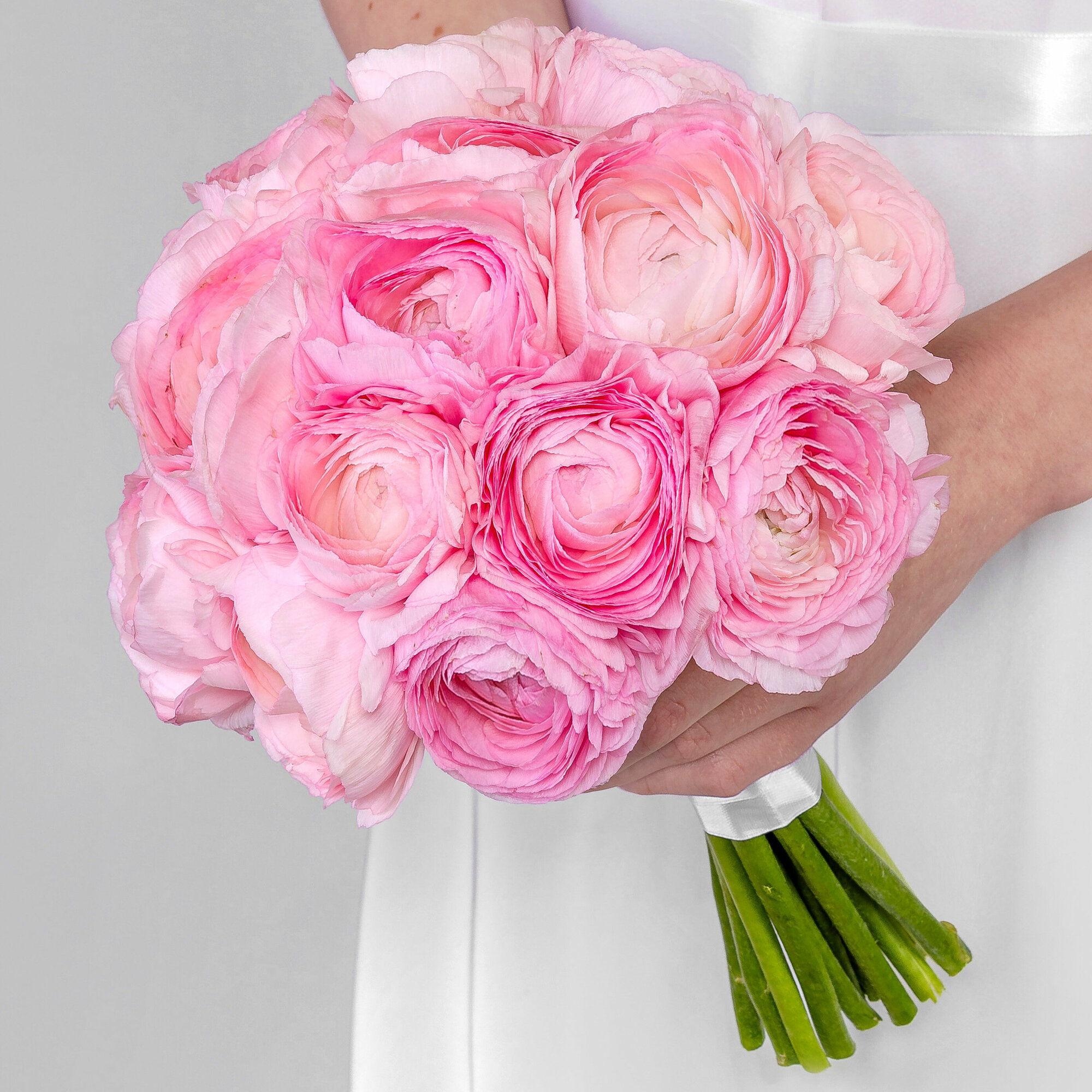 Букет невесты "15 Розовых Ранункулюсов"