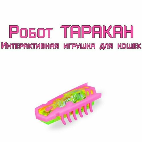 Игрушка двигающийся таракана (на батарейках) Подарок для детей и кошек.