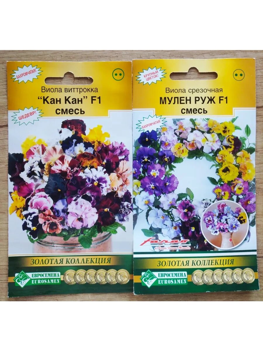Виола срезочная Мулен Руж и Кан Кан смеси